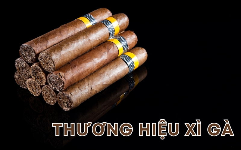 thương hiệu xì gà